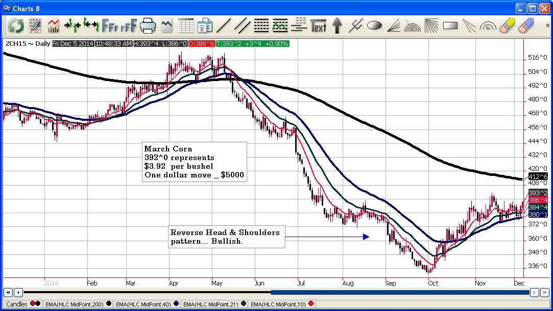 Corn Trade